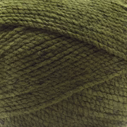 Premier Yarns Puzzle 2162-05 Forest Acrylic